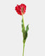 Real Touch Red Parrot Tulip 27" - 1