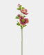 Real Touch Mauve Pink Hellebore 18" - 1