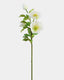 Real Touch White Hellebore 18" - 1