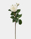 Real Touch White Rose 21.5" - 1
