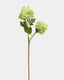 Artificial Green Snowball 21.5" - 1