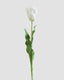 Real Touch White Parrot Tulip 27” - 1