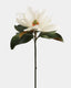 White Faux Magnolia 29" - 1