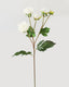 White Artificial Dahlia 22" - 1