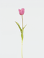 Real Touch English Large Tulip Single Stem - Flovery