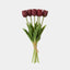 5 Fork Tulip Bundle - Dark Purple (Studio)