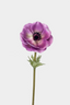 Real Touch Anemone Poppy Stem front view