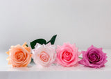 Real Touch Pink Rose Arrangement in Footed Classic Vase - Flovery