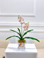 Real Touch Phalaenopsis Baby Orchid Arrangement In White Ceramic Vase