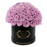 Dome 120 Purple Roses Black Box