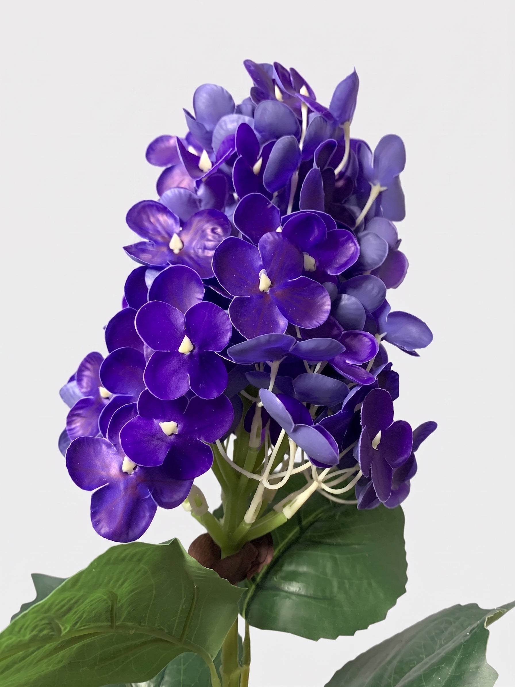 Purple Stems — top-selling arrangement from Flovery