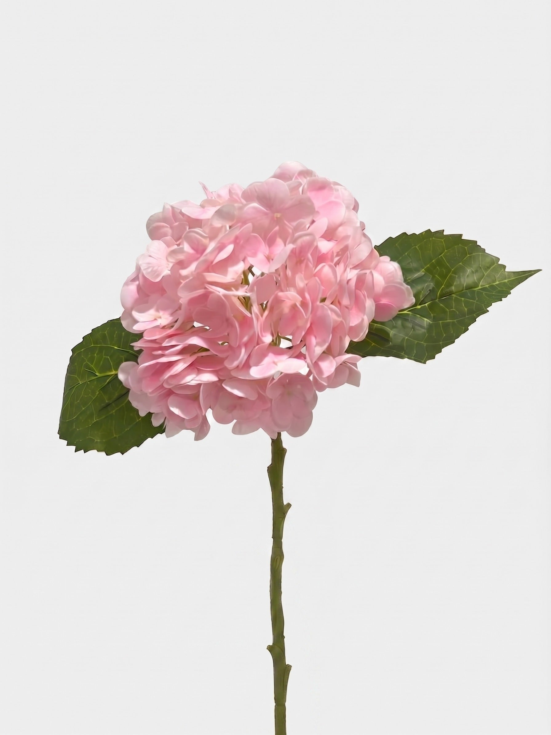 White Stems — top-selling arrangement from Flovery