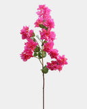 Fuchsia Bougainvillea Branch 44" - 1