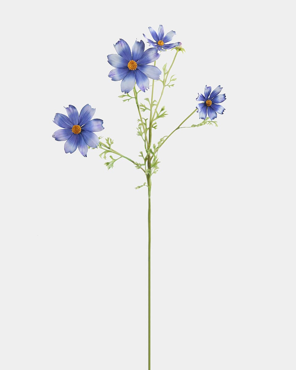 Real Touch Blue Cosmos 29" - 1 Main image