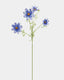 Real Touch Blue Cosmos 29" - 1
