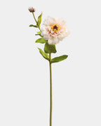 Real Touch Blush Pink Zinnia 24.5" - 1