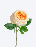 Real Touch English Austin Rose Single Stem