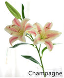 Casablanca Real Touch Large Lily Single Stem - Champagne
