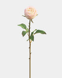 Real Touch Cream Pink English Rose 24" - 1
