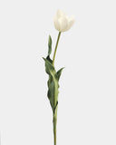 Cream White Tulip 22.5" - 1