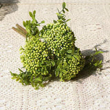 3 Berry Bundle - Green