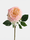 Real Touch English Austin Rose Single Stem