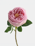 Real Touch English Austin Rose Single Stem