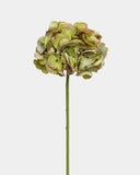 Artificial Green Hydrangea 19" - 1
