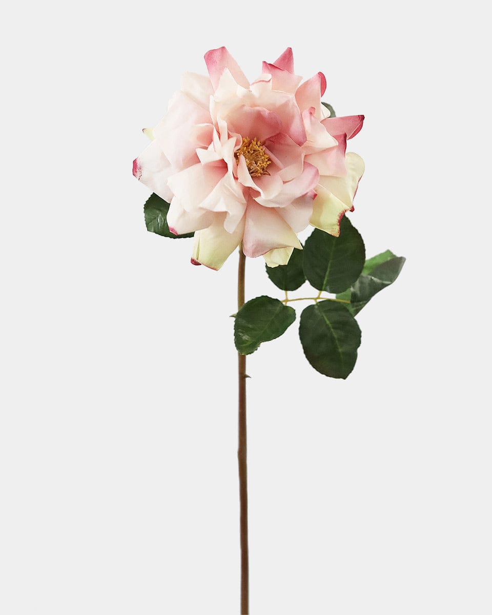 Large Pink Dutchess Rose 20" - 1
