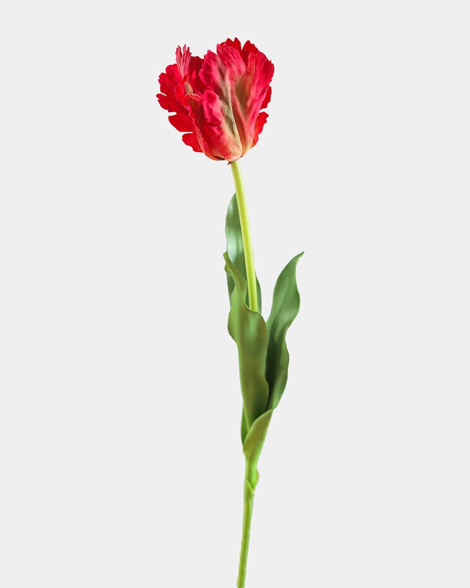 Real Touch Red Parrot Tulip 27" - 1 Main image