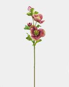 Real Touch Mauve Pink Hellebore 18" - 1