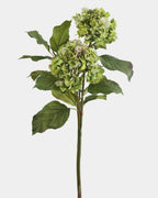 Green Double Hydrangea 36" - 1