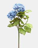 Blue Double Hydrangea 36" - 1