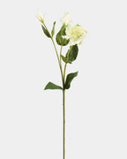 Real Touch Cream Green Lisianthus 22” - 1