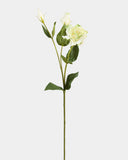 Real Touch Cream Green Lisianthus 22” - 1