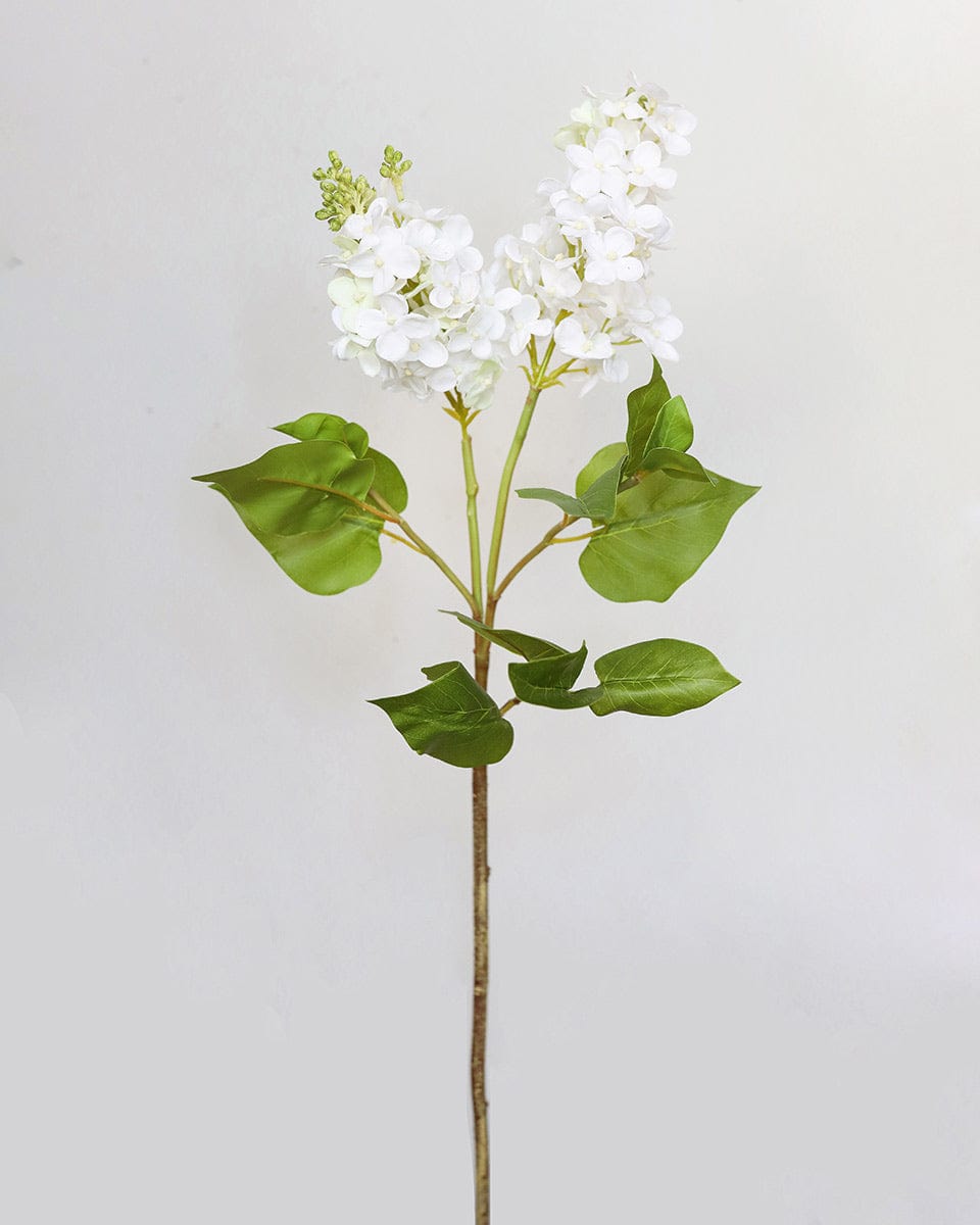 Real Touch White Lilac 27.5” - 1 Main image