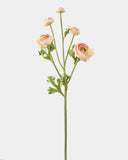 Real Touch Apricot Ranunculus 22” - 1