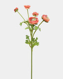 Real Touch Coral Ranunculus 22” - 1