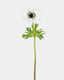 Real Touch White Anemone 17.5” - 1