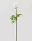 White Dutchess Rose Bud 23" - 1