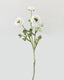 White Ranunculus 18.5" - 1