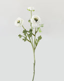 White Ranunculus 18.5" - 1