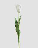 Real Touch White Parrot Tulip 27” - 1