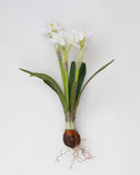 Real Touch White Narcissus 13” - 1