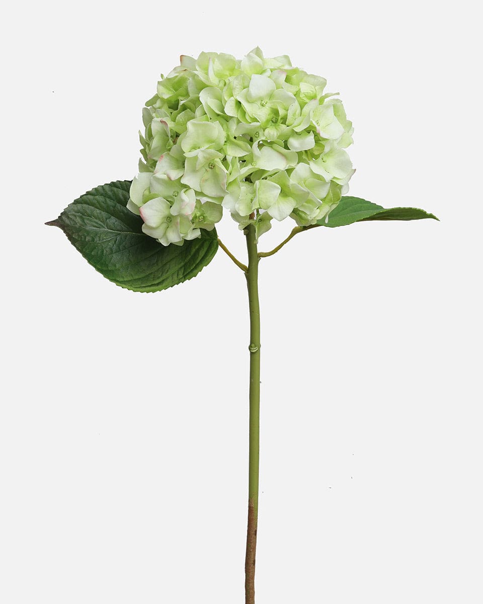 Real Touch Green Hydrangea 18" - 1 Main image