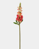 Real Touch Coral Snapdragon 23” - 1