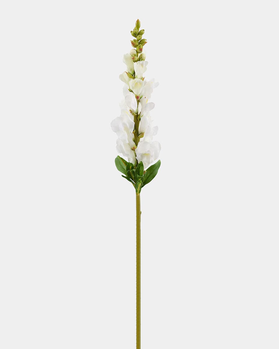Real Touch Cream White Snapdragon 23” - 1