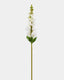 Real Touch Cream White Snapdragon 23” - 1