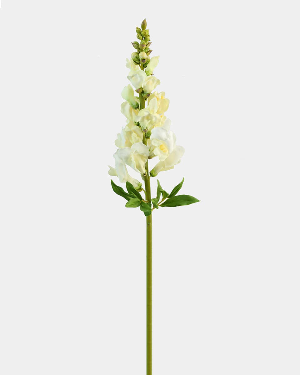 Real Touch Yellow Snapdragon 23” - 1 Main image