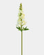 Real Touch Yellow Snapdragon 23” - 1